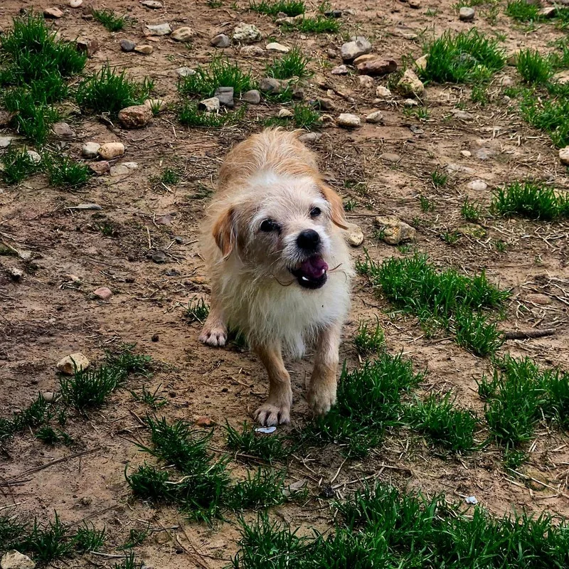 Jullien Verb thumbnail 3