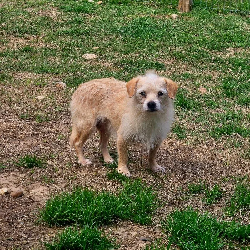 Jullien Verb thumbnail 6