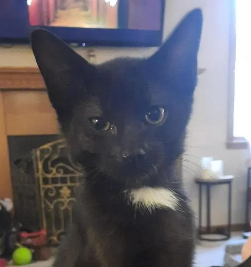 Lucky Bob thumbnail 2