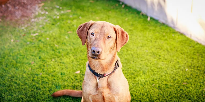 Maverick thumbnail 5