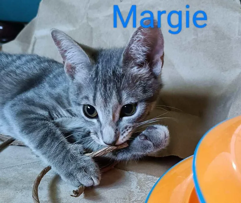 Margie