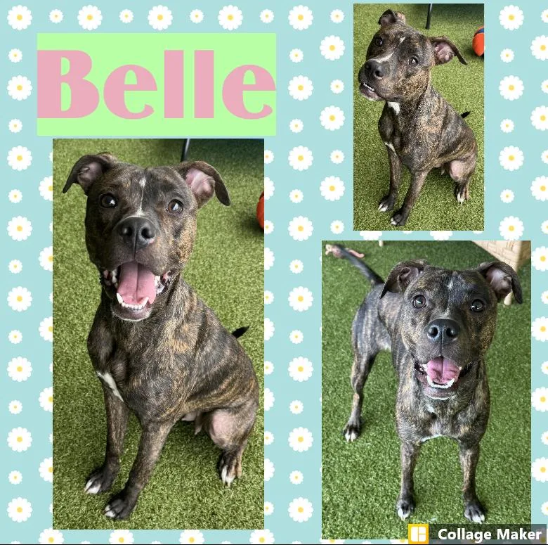 Belle