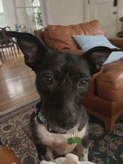 Ellie Grace thumbnail 3