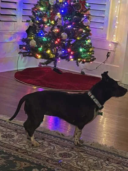 Ellie Grace thumbnail 6