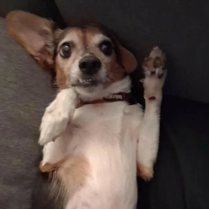 Lola thumbnail 2