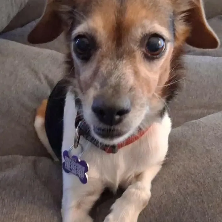 Lola thumbnail 3