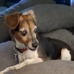 Lola thumbnail 5