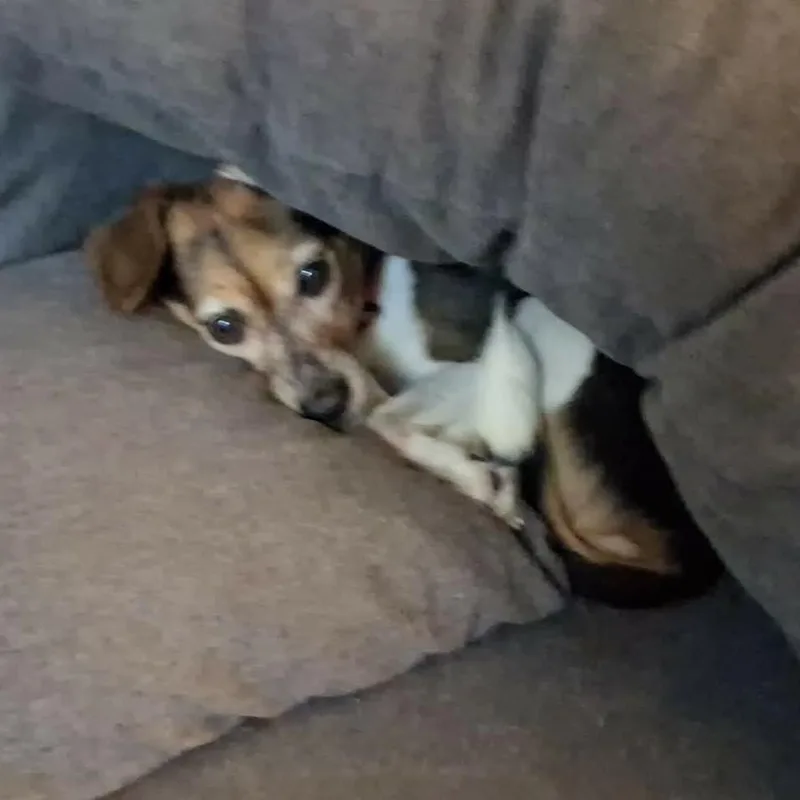 Lola thumbnail 6