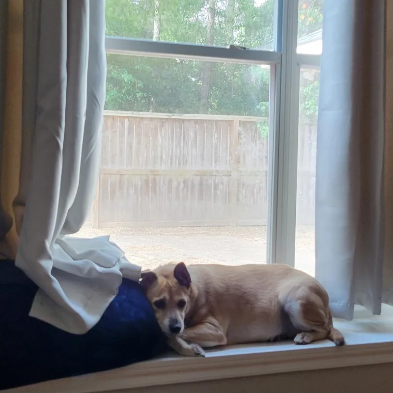 Chloe thumbnail 2