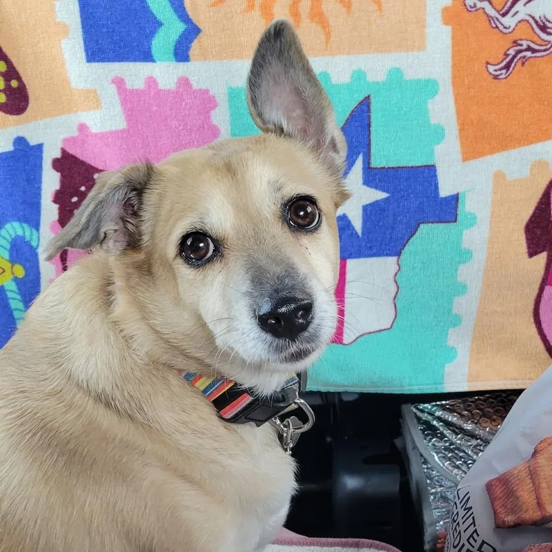 Chloe thumbnail 4
