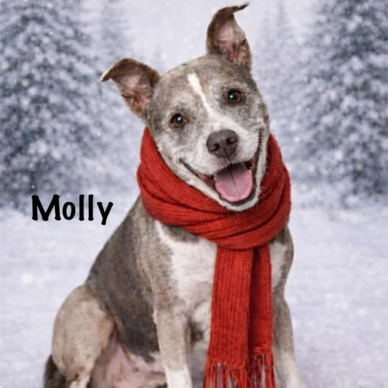 Molly