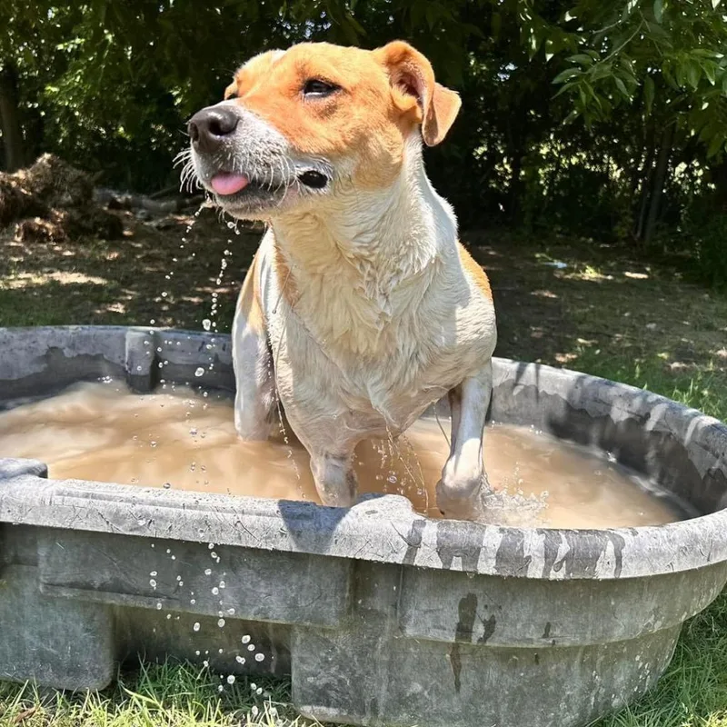 Graham W thumbnail 2