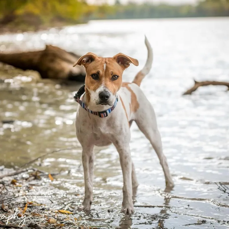 Graham W thumbnail 3