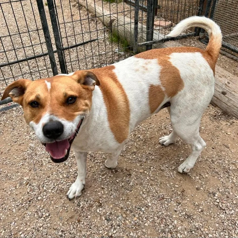 Graham W thumbnail 4