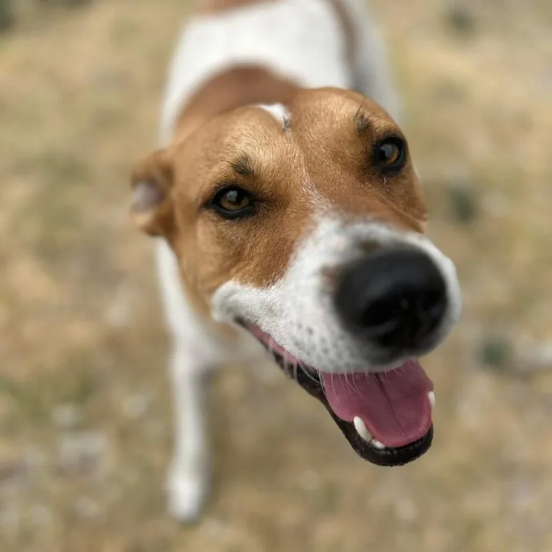 Graham W thumbnail 6