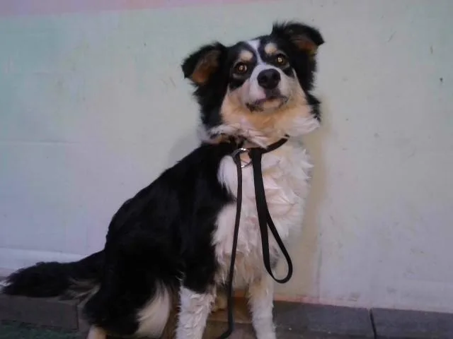 Taichi