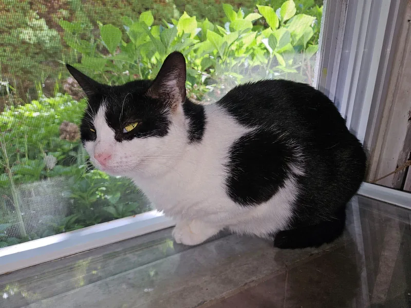 Claire N  Relaxed thumbnail 2