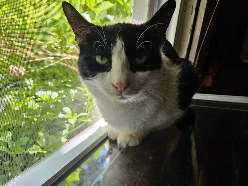 Claire N  Relaxed thumbnail 3