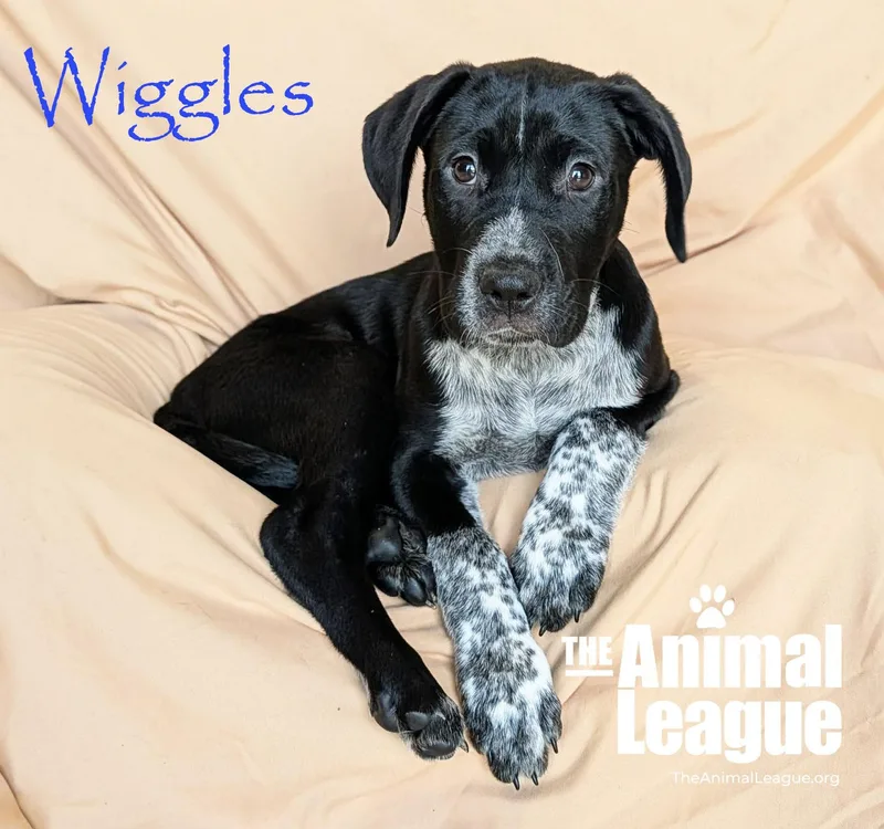 Wiggles thumbnail 3