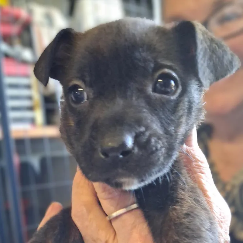 Butter Aka "hannah"