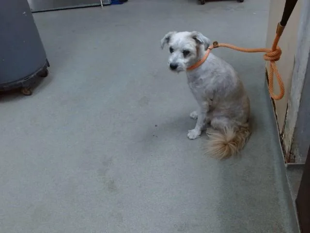 Benny