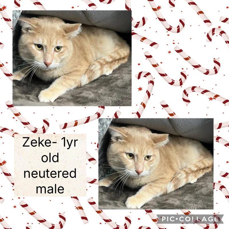 Zeke