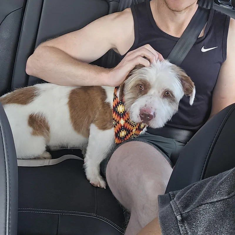 Oscar