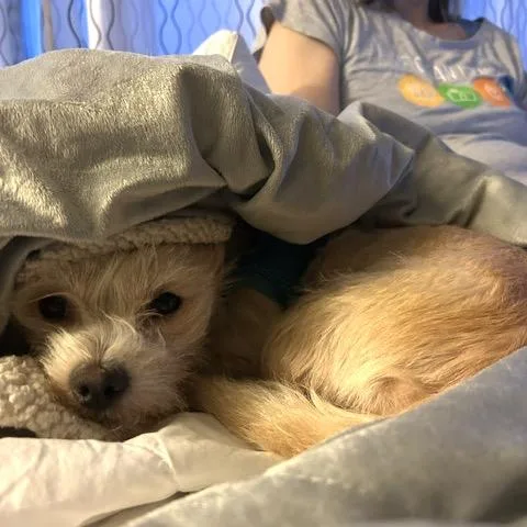 Betty thumbnail 2