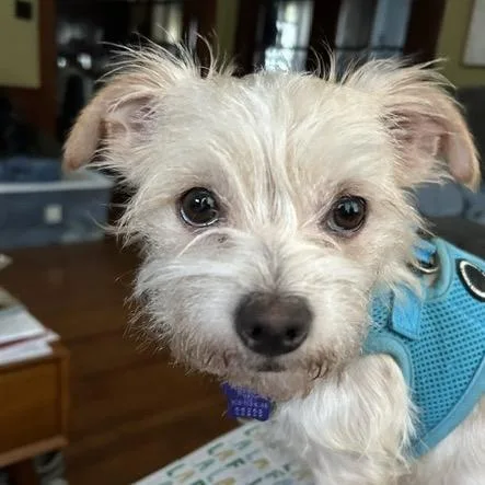 Betty thumbnail 3