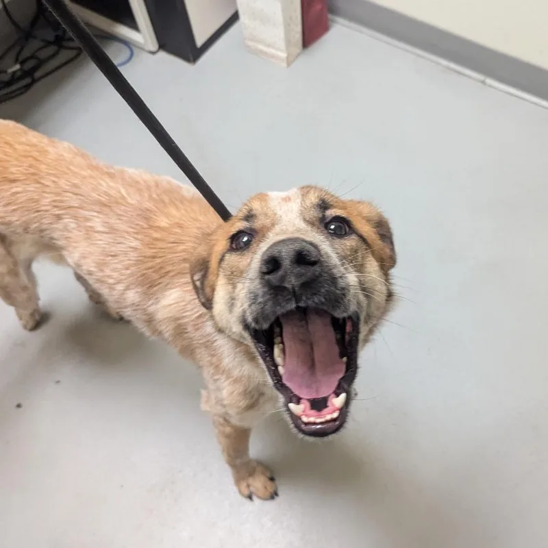 St Andrew thumbnail 4