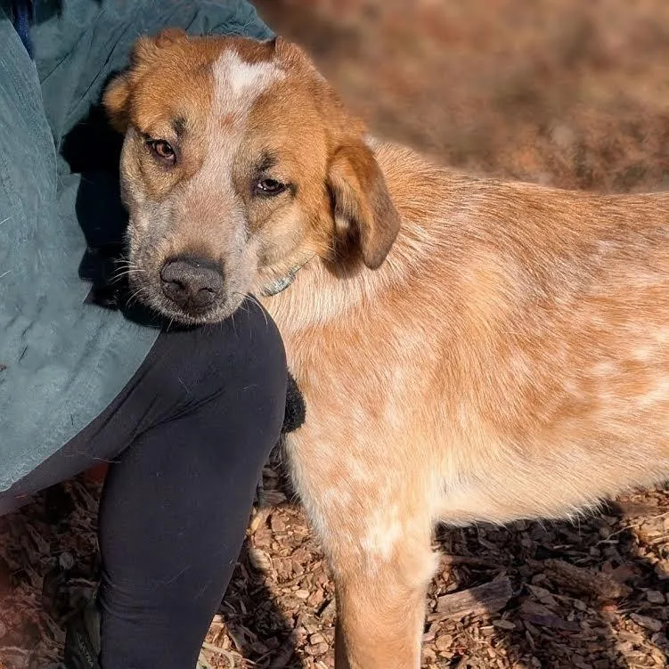 St Andrew thumbnail 5