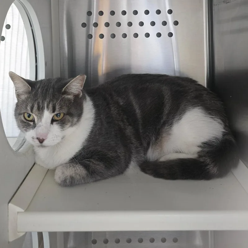 Master Mckee Houston thumbnail 2