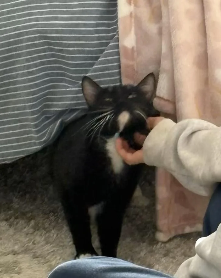 Queen Latifah thumbnail 3