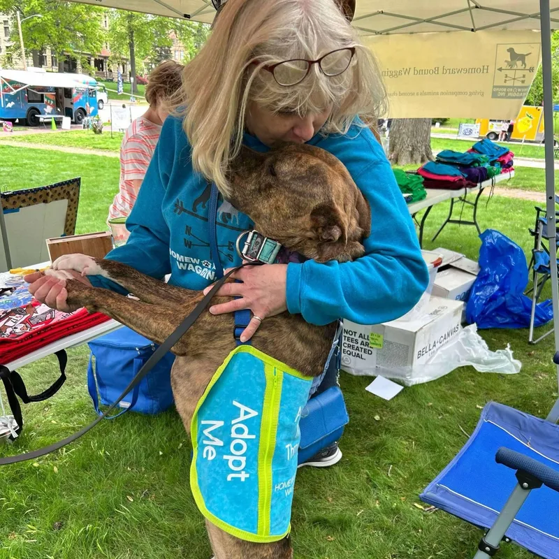 Penny Primadona thumbnail 5