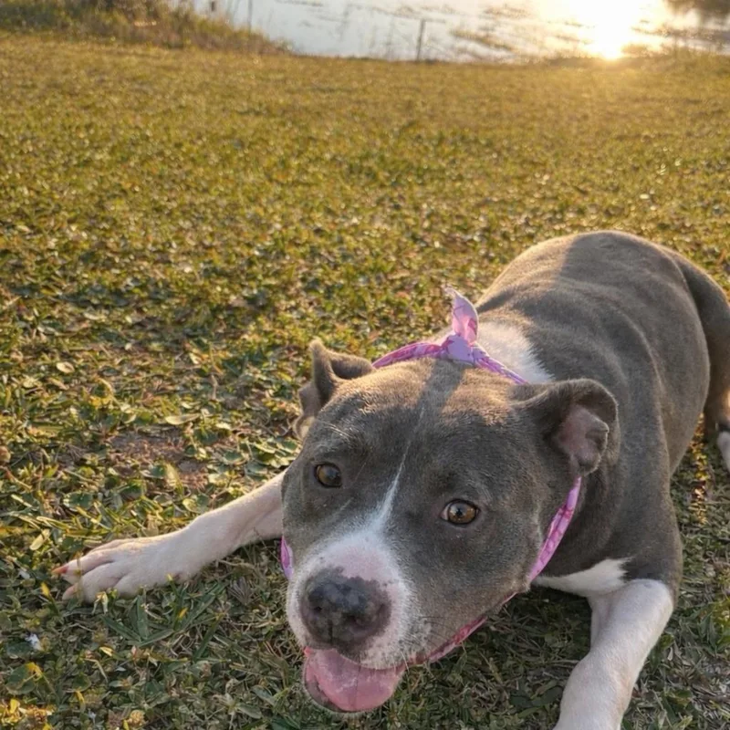 Keisha  + thumbnail 2