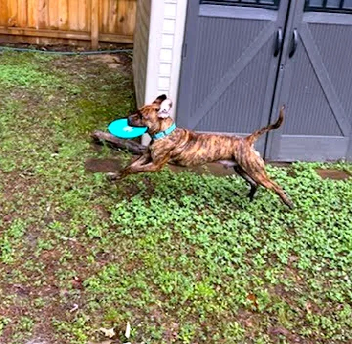 Zeus thumbnail 2