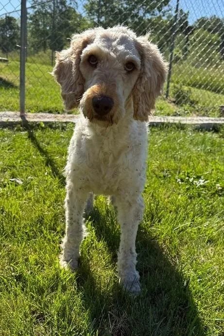Molly