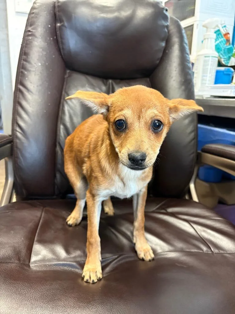 Thumbtack thumbnail 2