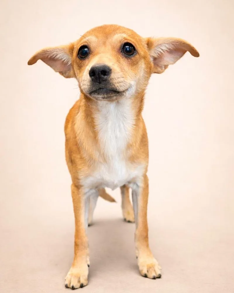 Thumbtack thumbnail 3