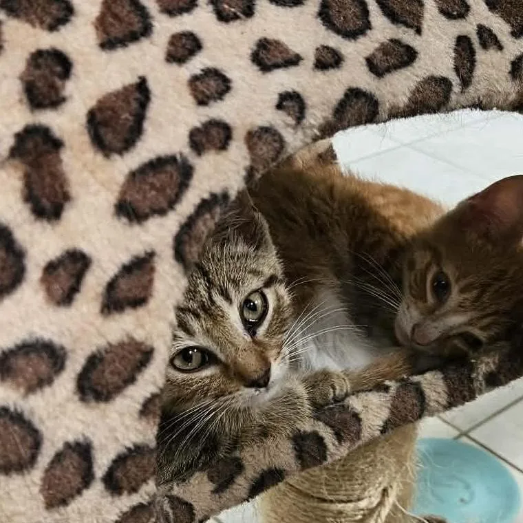 George & Martha thumbnail 2