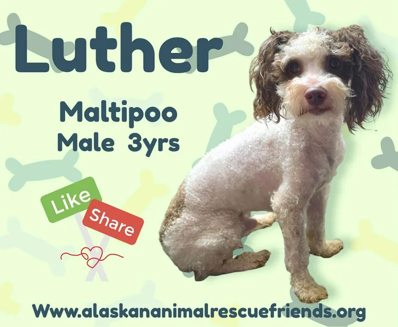 Luther