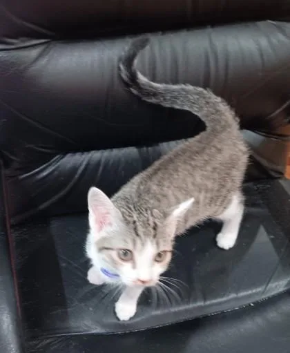 Marti $ at Pet