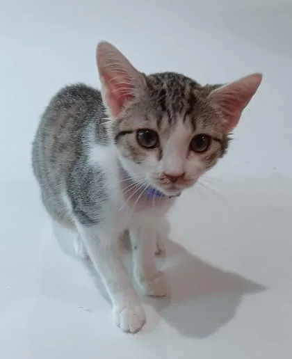 Marti $ at Pet thumbnail 2