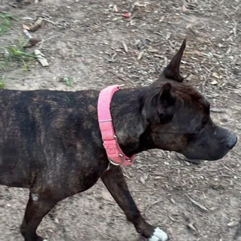 Ellie aka Ellie Belly thumbnail 5