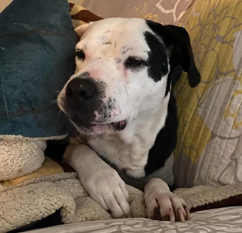 Babe Bella thumbnail 3