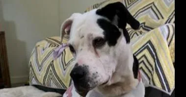 Babe Bella thumbnail 4