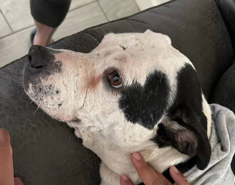 Babe Bella thumbnail 6