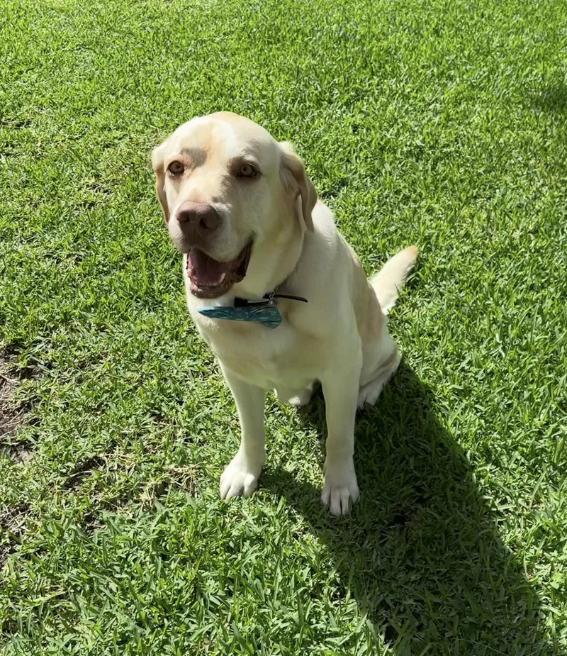 Oakley