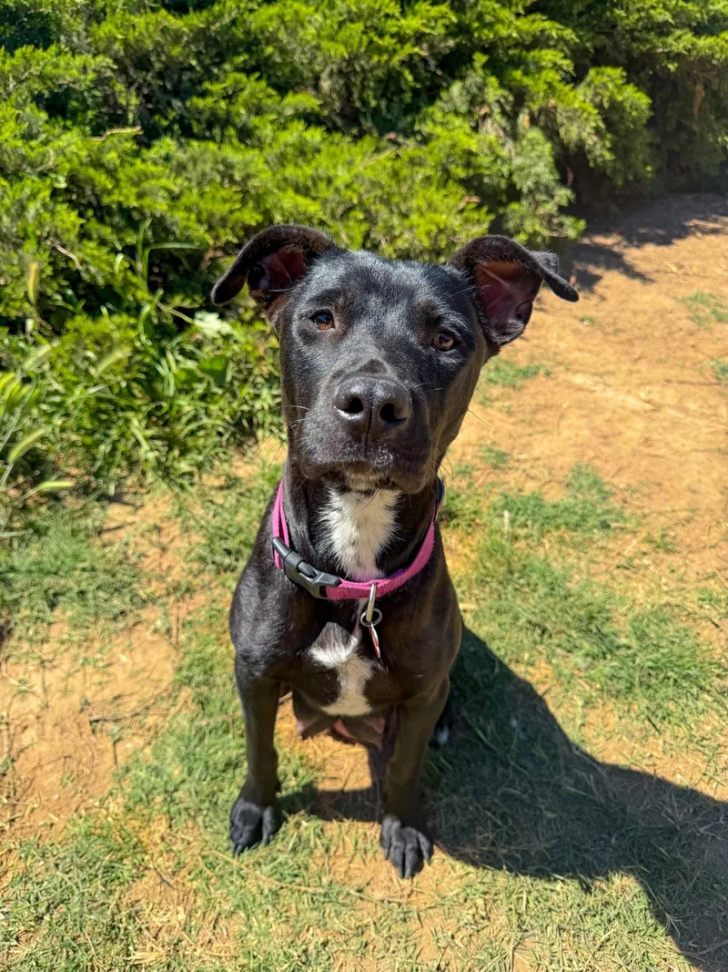 Marilynn thumbnail 2