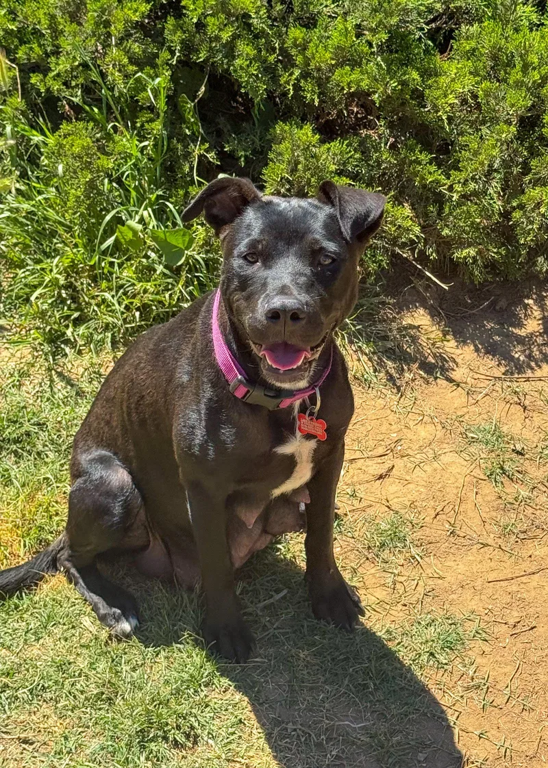 Marilynn thumbnail 3